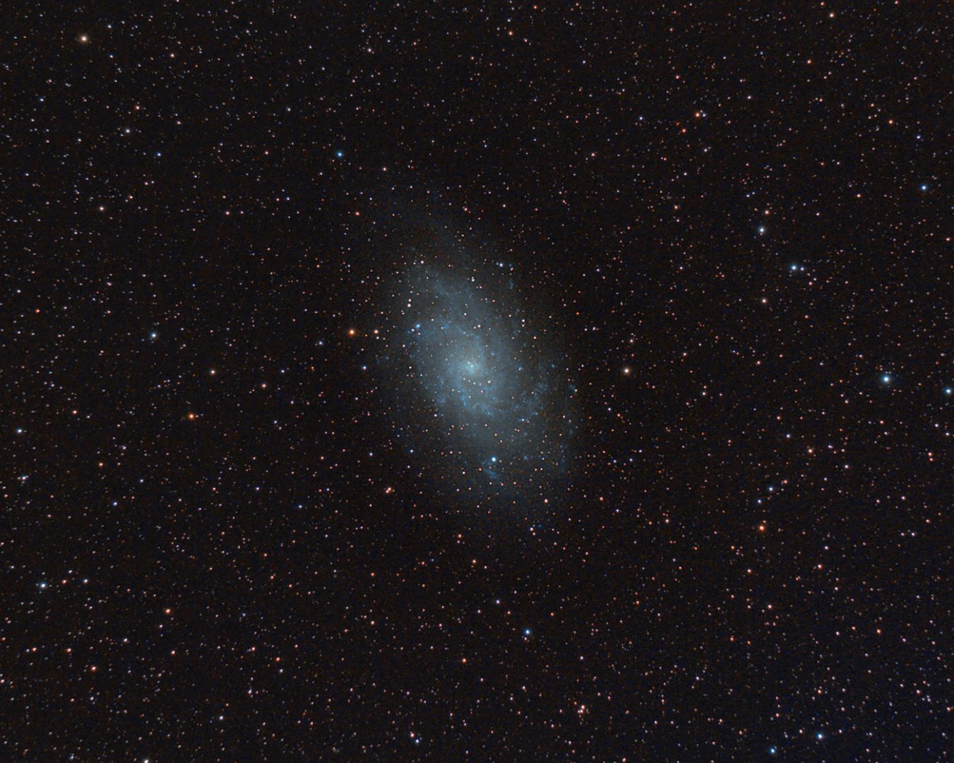 M33, Dreiecksgalaxie (Harald Kaiser)