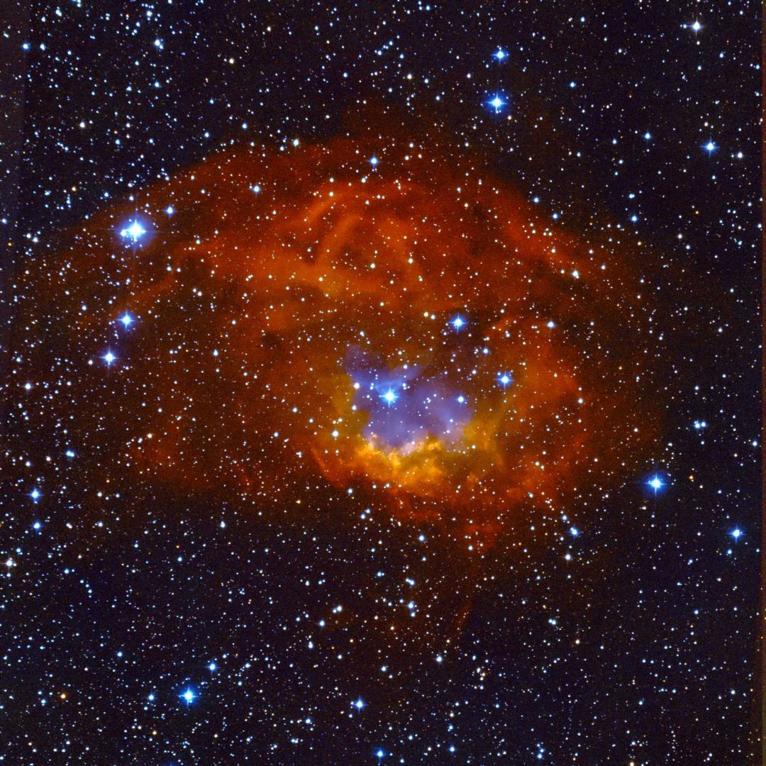 Sh2-261 oder Lower's Nebula (Thomas Reddmann)