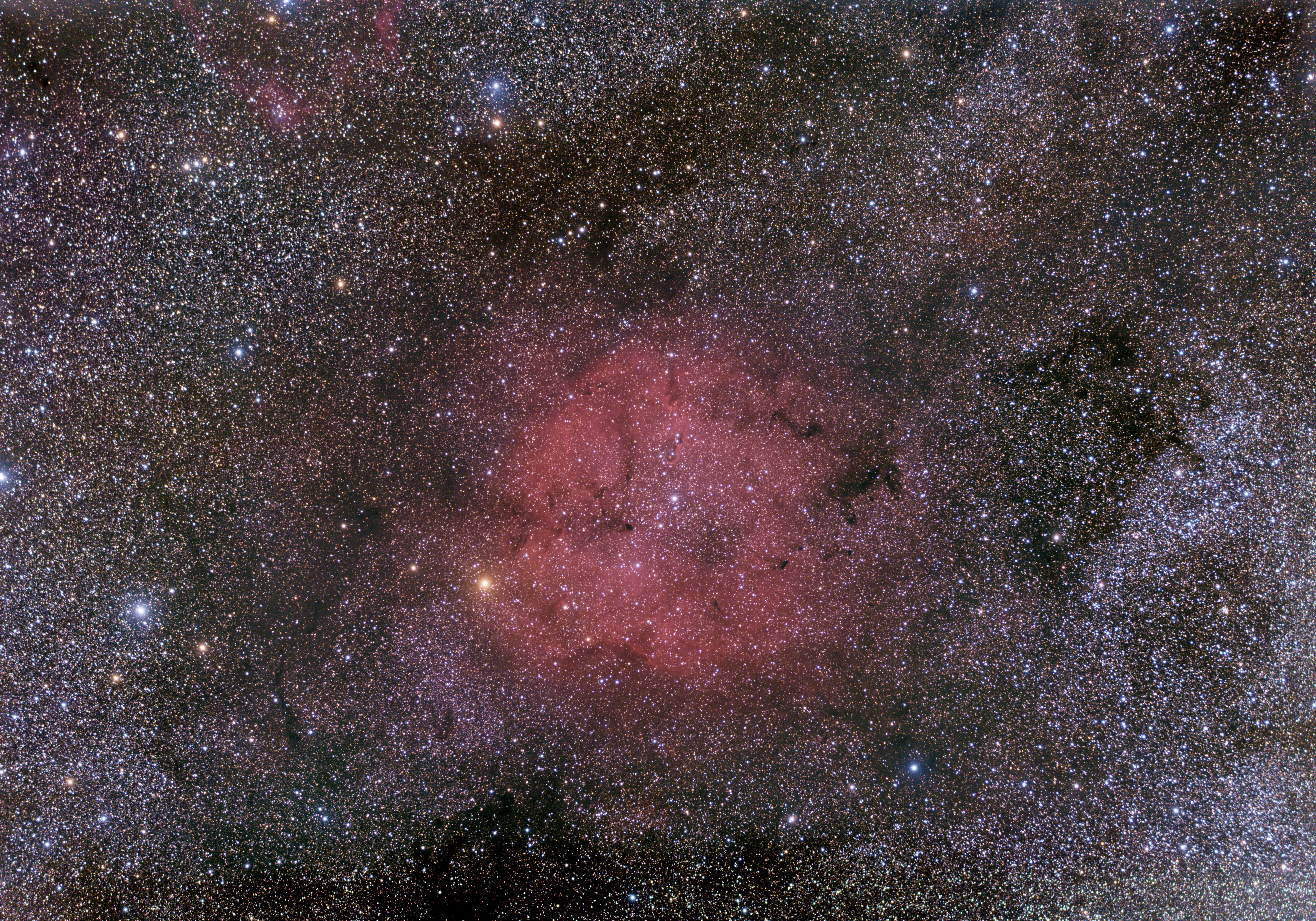 IC 1396 (Marion Reichert)