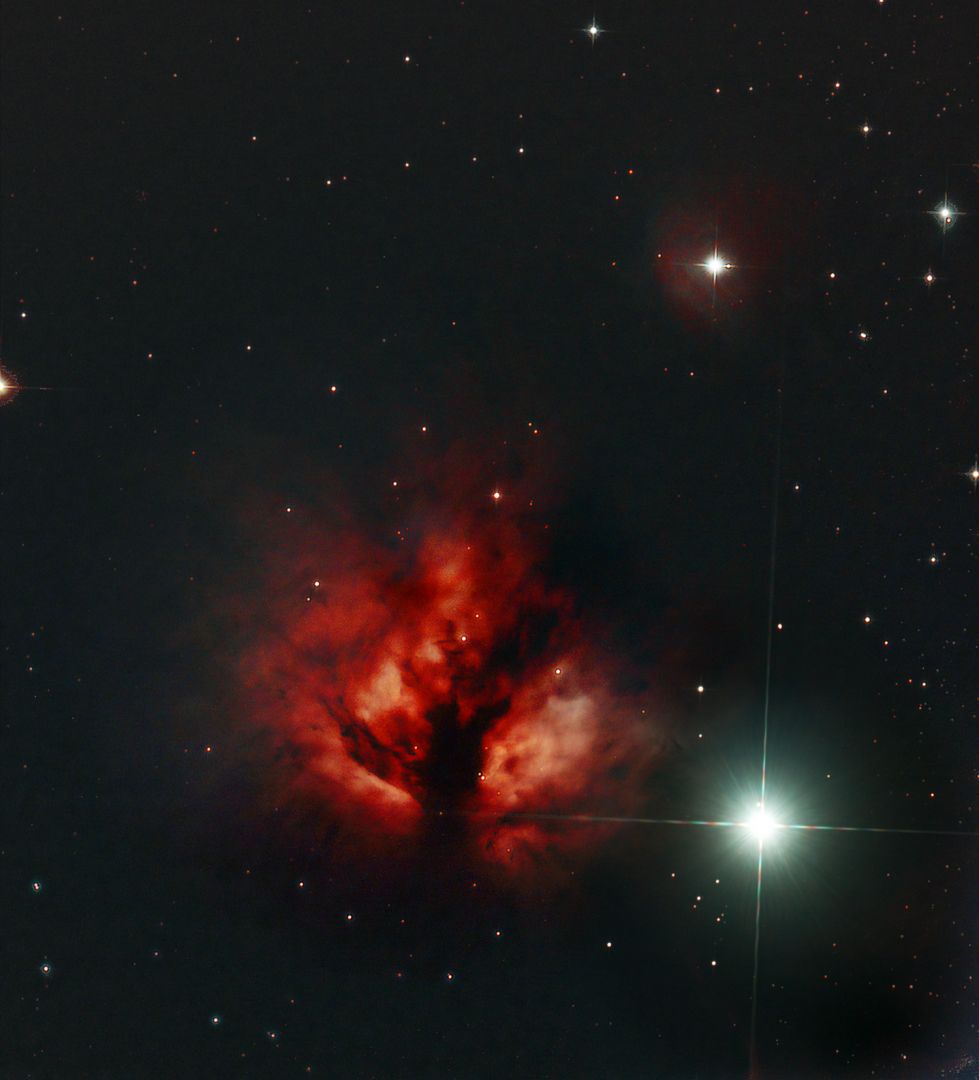 NGC 2024, Flammender Stern Nebel (Harald Kaiser)