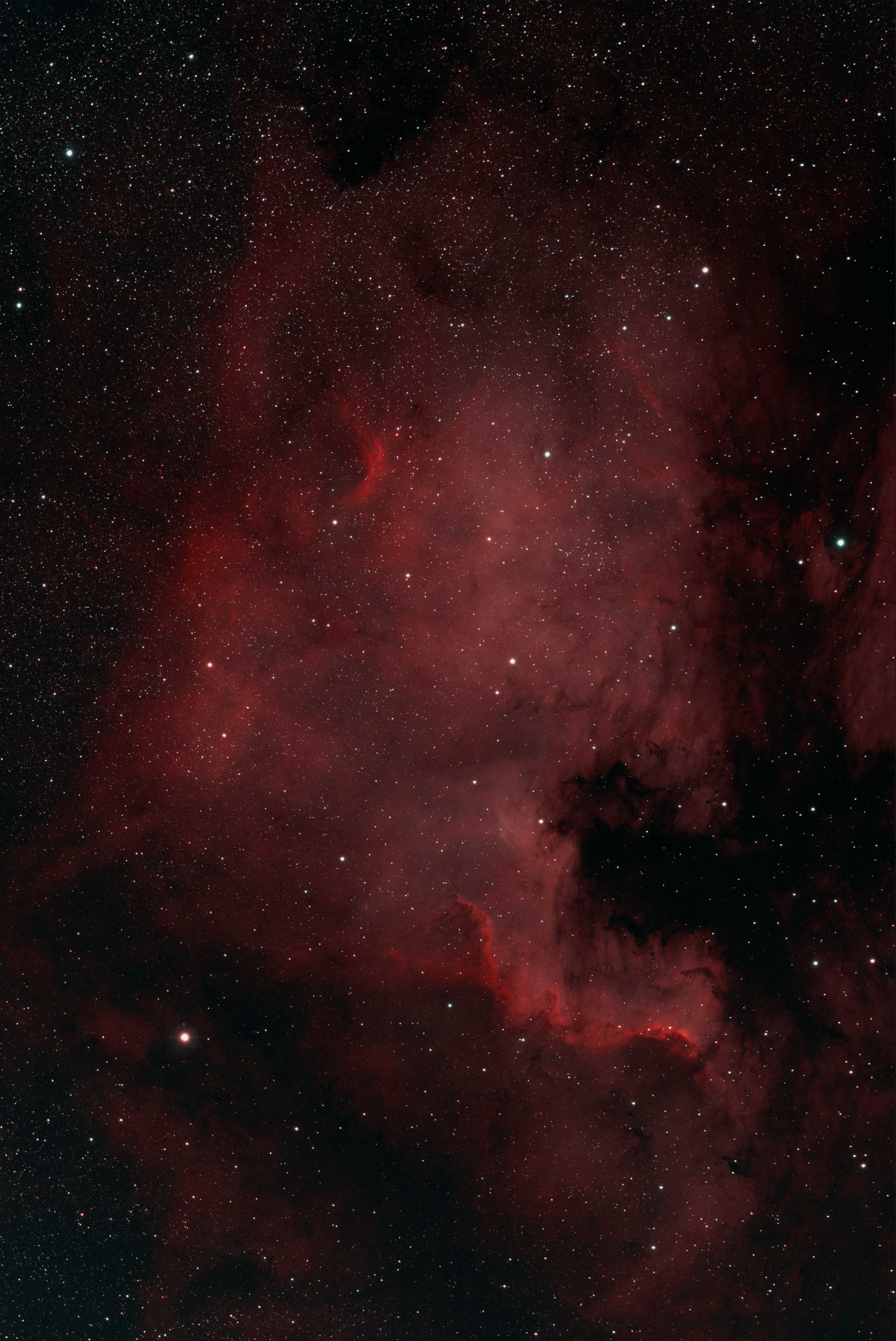 NGC7000 Nordamerikanebel (Thomas Reddmann)