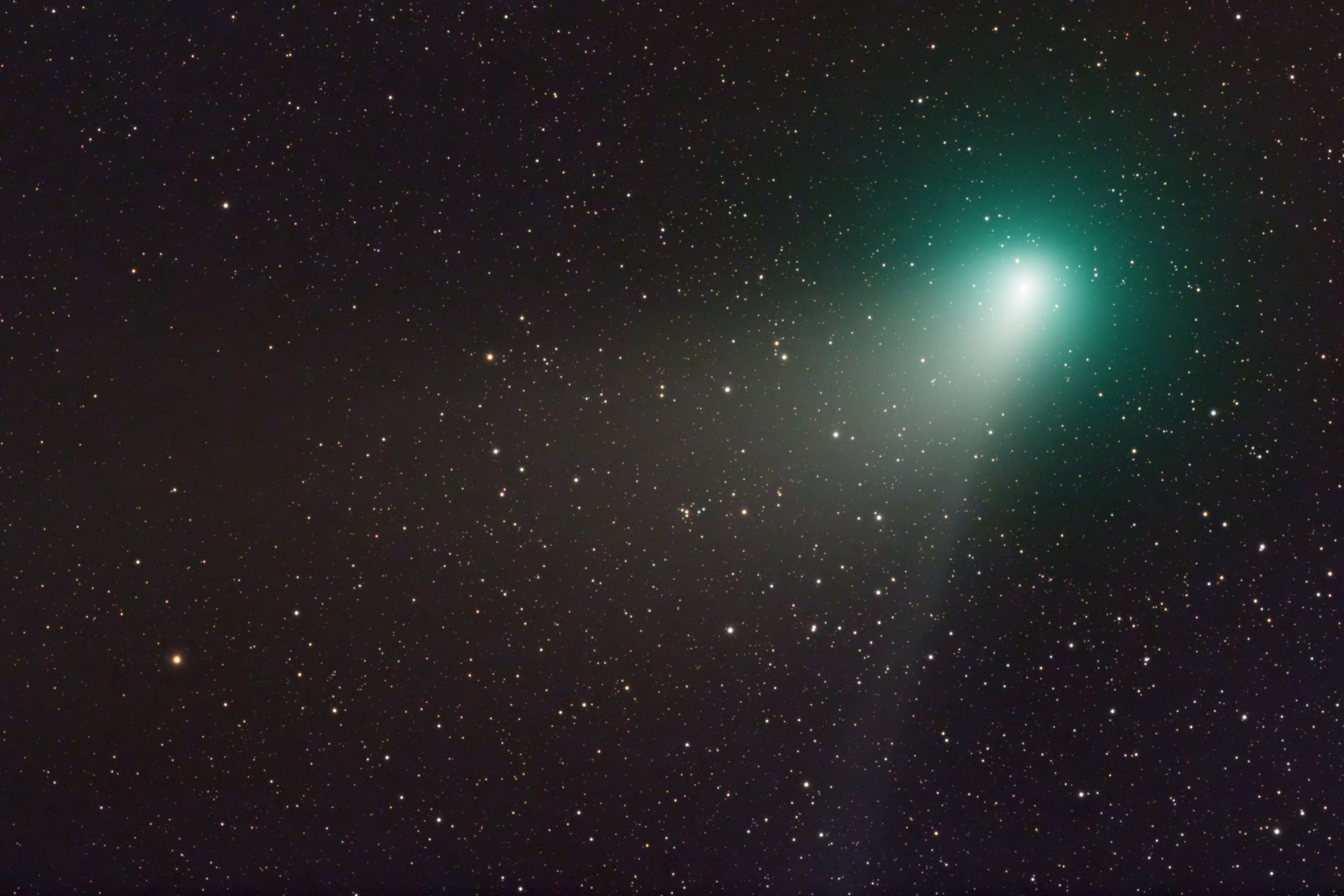 Komet C/2022 E3 ZTF am 09.02.2023 (Michael Rastetter)