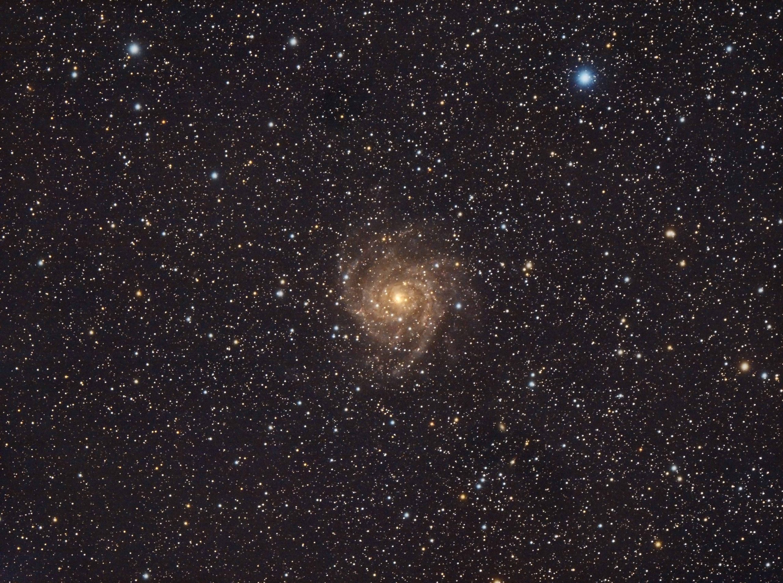 IC 342 (Fabian Hochberg)