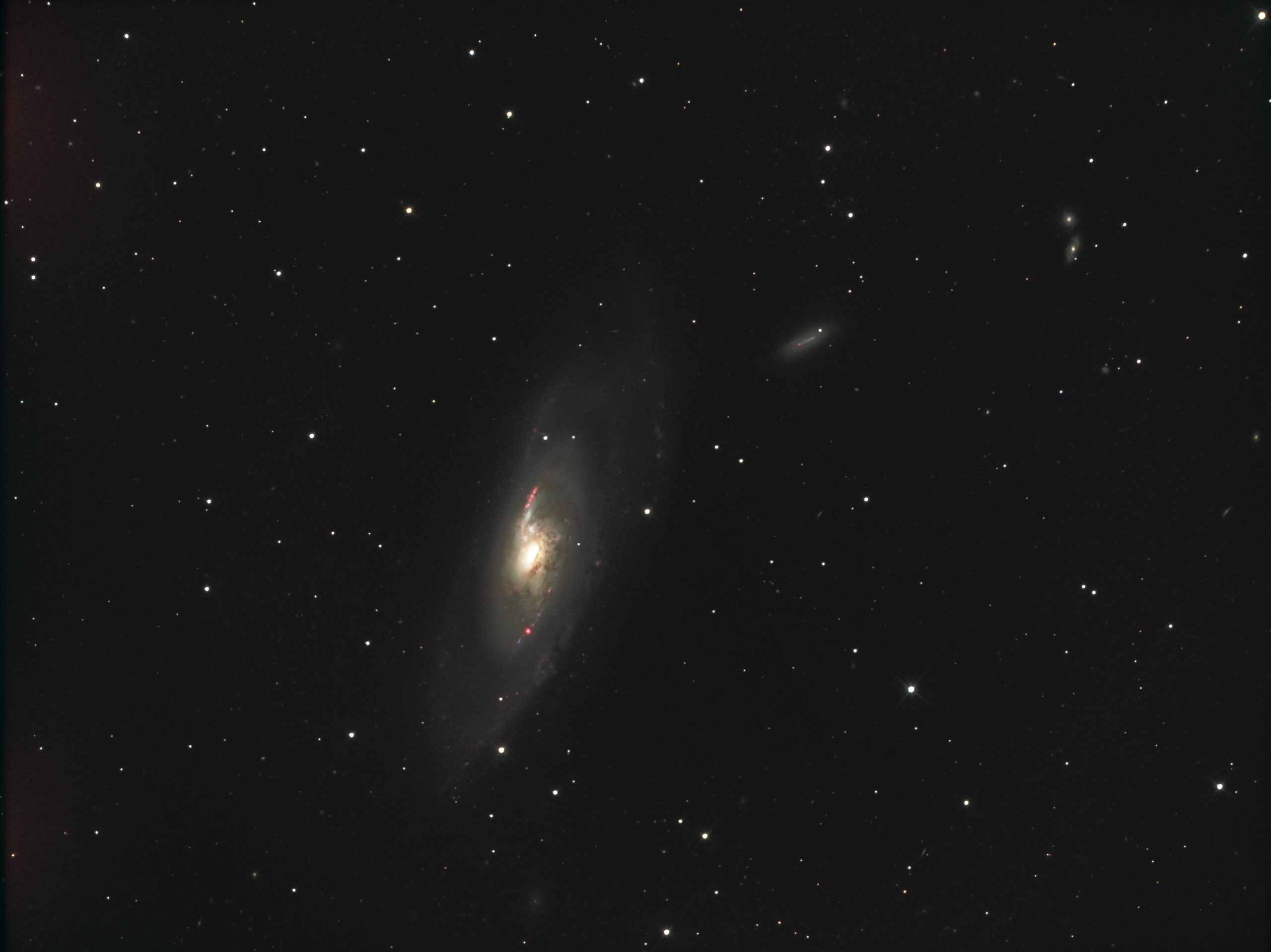 M 106 (Thomas Reddmann)