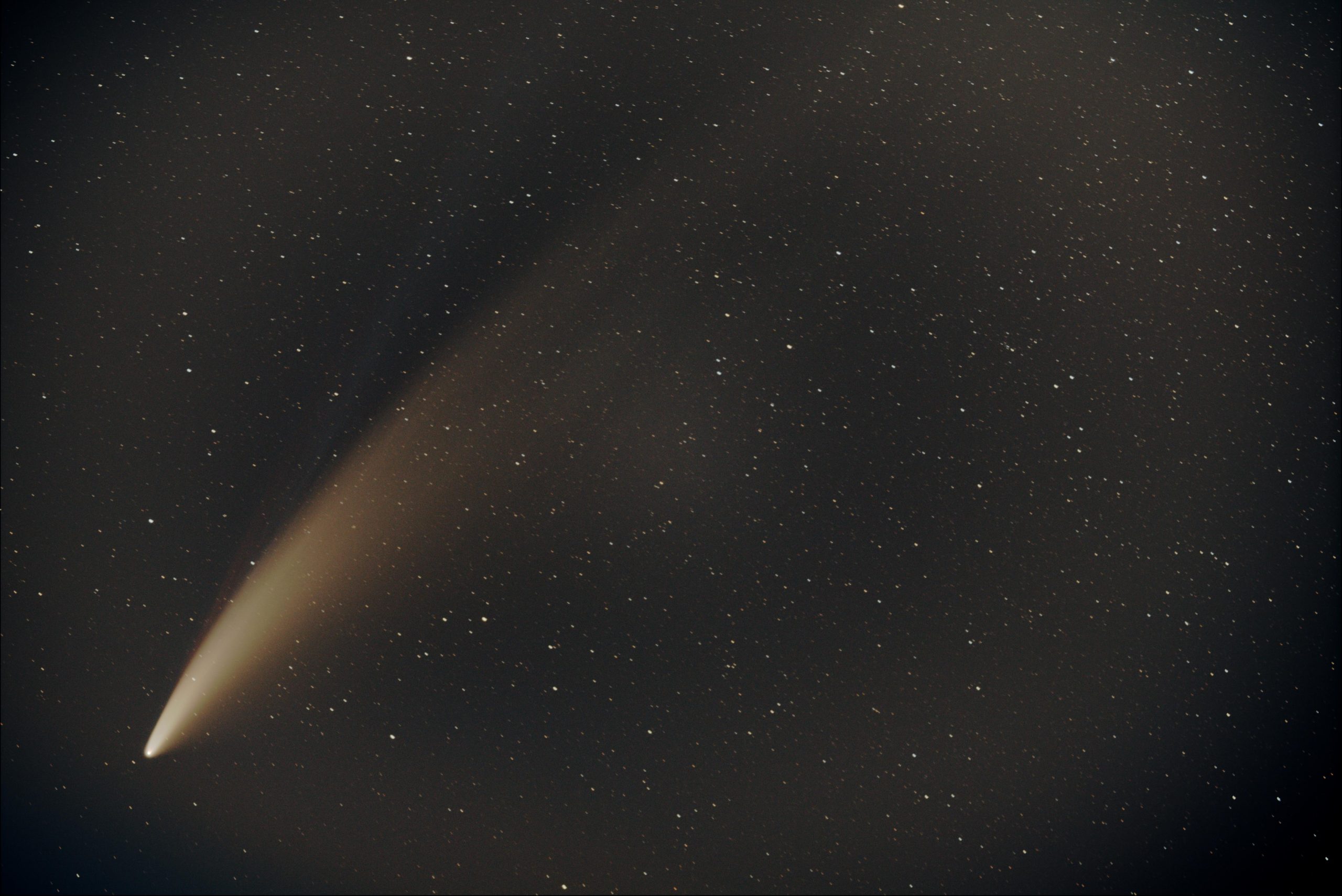 C/2020 F3 NEOWISE, Juli 2020 (Thomas Reddmann)