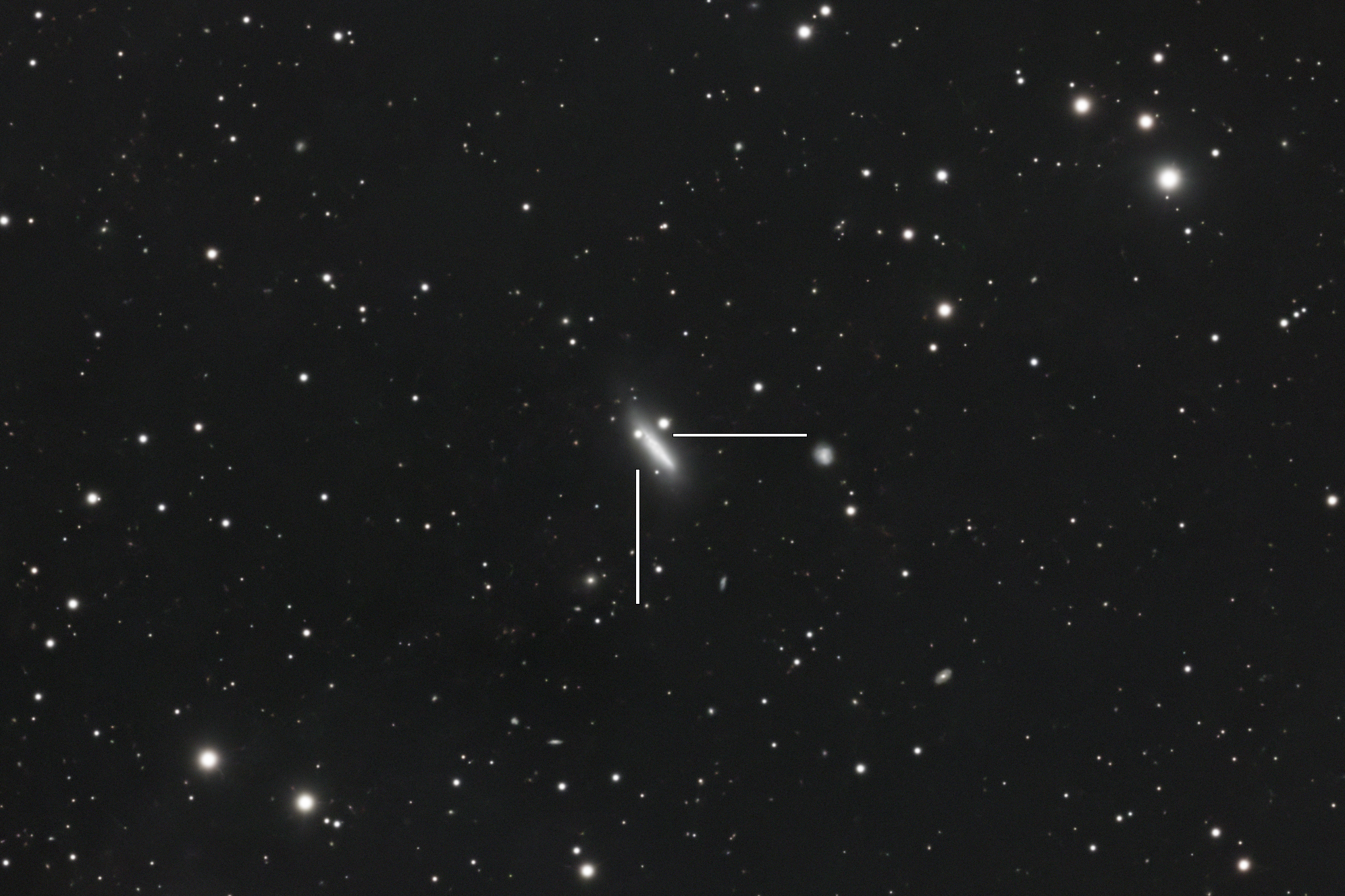 Supernova SN2026fvx in NGC4205 (Michael Rastetter)